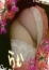 サムネイル3