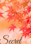 みあん