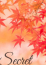 みあん