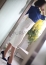 汐音(しおね)