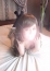 サムネイル3
