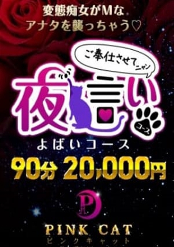ネコのいたずらコース、PINK CAT