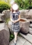いずみ