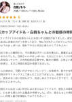 白桃/もも、ギャルズネットワーク大阪