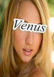 テレーゼ、Venus-ヴィーナス-