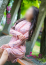 サムネイル12