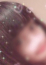 サムネイル6