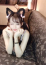 サムネイル8