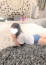サムネイル6