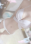 サムネイル6