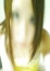 サムネイル2