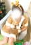 サムネイル1