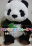 サムネイル29