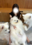 サムネイル3