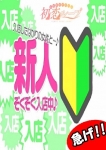 本日注目の新人さん