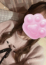 サムネイル13