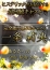 一条 莉央