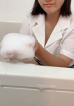 かりん、大高・大府・東海市ちゃんこ
