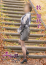 サムネイル5