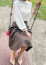 サムネイル3