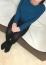 みやび