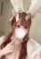 サムネイル2