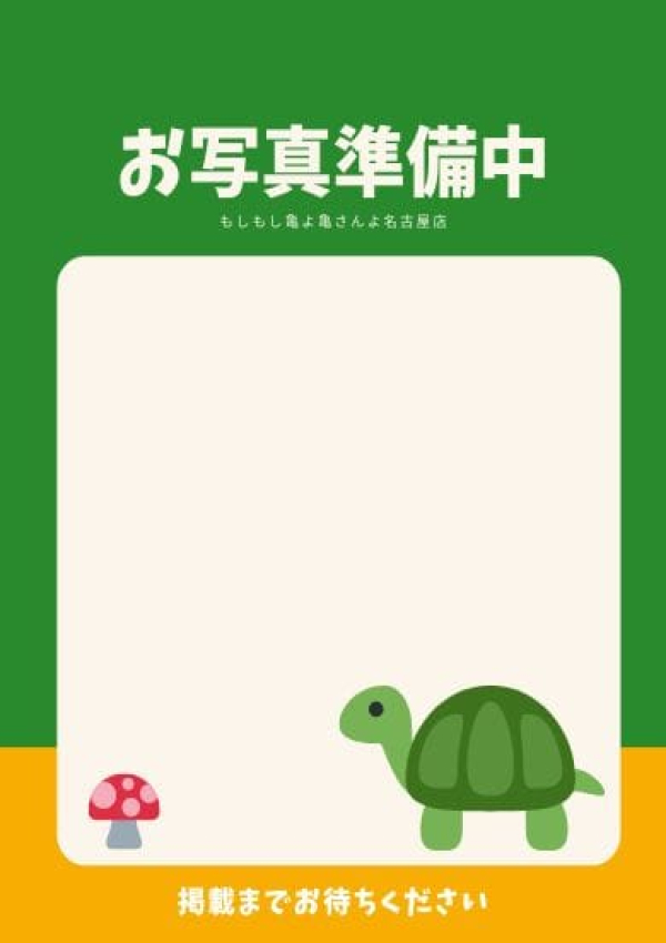 みみ、もしもし亀よ亀さんよ 名古屋店