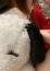 サムネイル3
