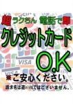 遊viva岐阜店、クレジットカード