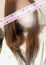 サムネイル1