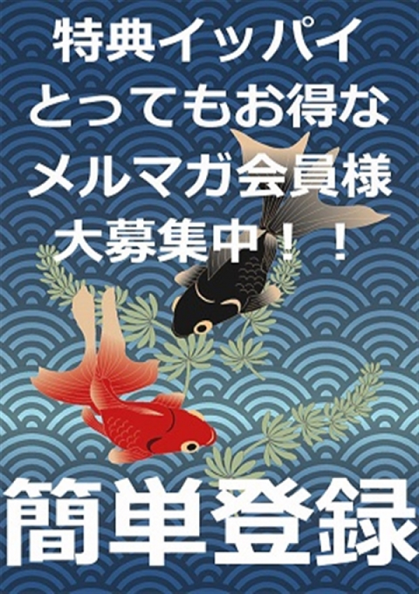 メール会員様募集、五十路マダム浜松店(カサブランカグループ) 1