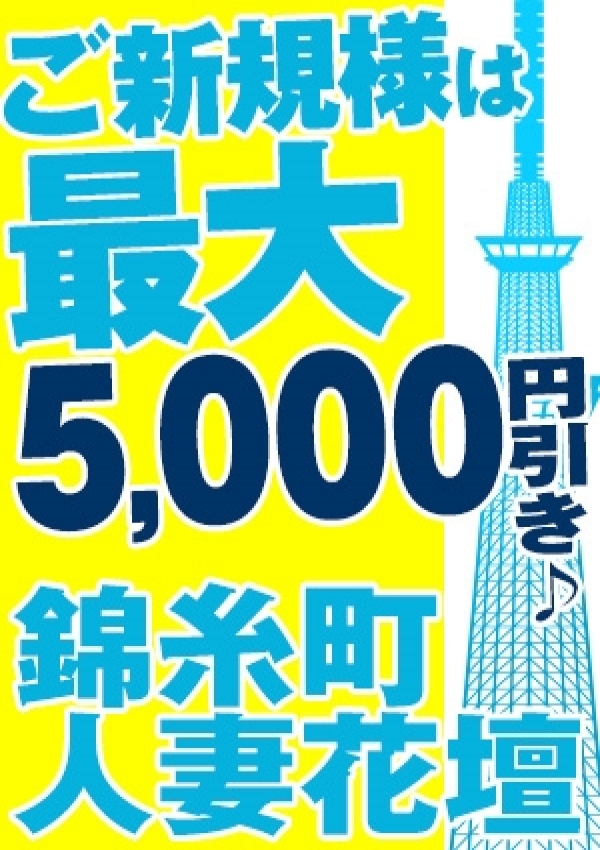 コミコミお試し、錦糸町人妻花壇 3