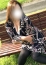 サムネイル11